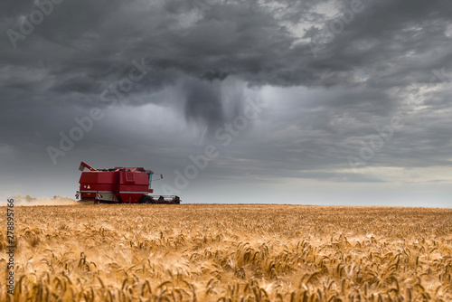finish the harvest before the storm arrives photo