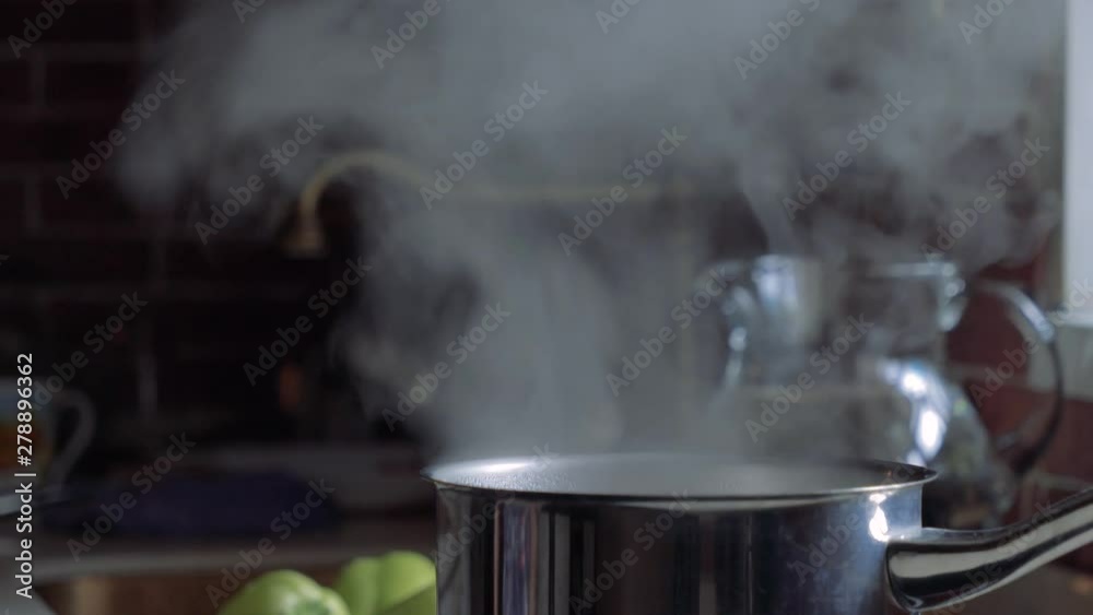 Pan stands on the stove. Boiling water rises steam. Pan stands on the stove. Boiling water rises steam.