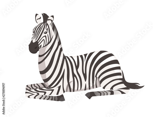 African zebra lying on ground side view cartoon animal design flat vector illustration isolated on white background