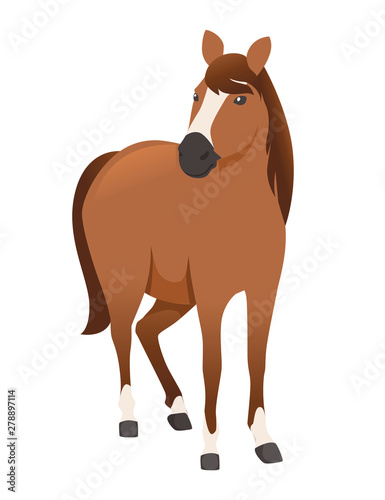 Brown horse wild or domestic animal cartoon design flat vector illustration isolated on white background