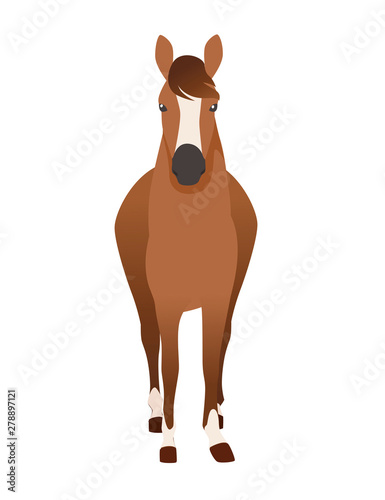 Brown horse wild or domestic animal cartoon design flat vector illustration isolated on white background