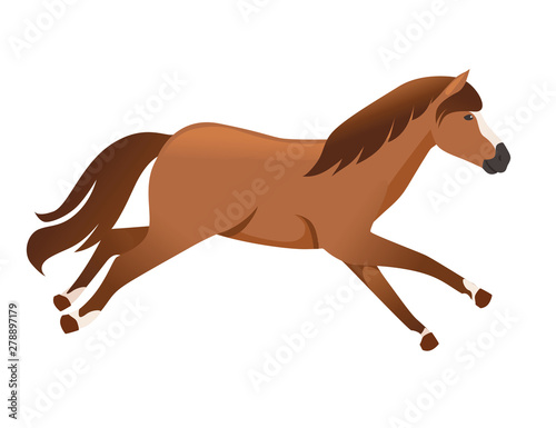 Brown horse wild or domestic animal running cartoon design flat vector illustration isolated on white background