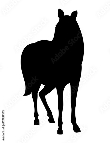 Black silhouette horse wild or domestic animal cartoon design flat vector illustration isolated on white background