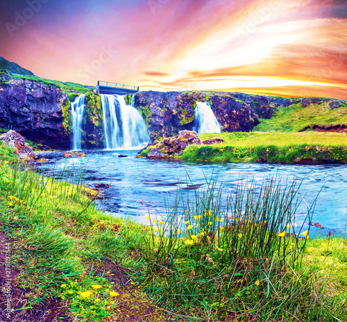 Obraz na płótnie Beautiful natural magical scenery with a waterfall Kirkjufell and yellow flowersat dawn in Iceland. Exotic countries. Amazing places. Popular tourist atraction. (Meditation, antistress - concept). w salonie