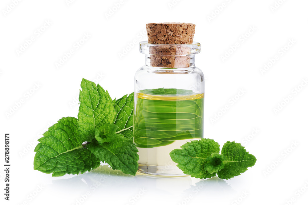 Bottle with essential oil and mint isolated on white background. Bottle with essential oil and mint isolated on white background.