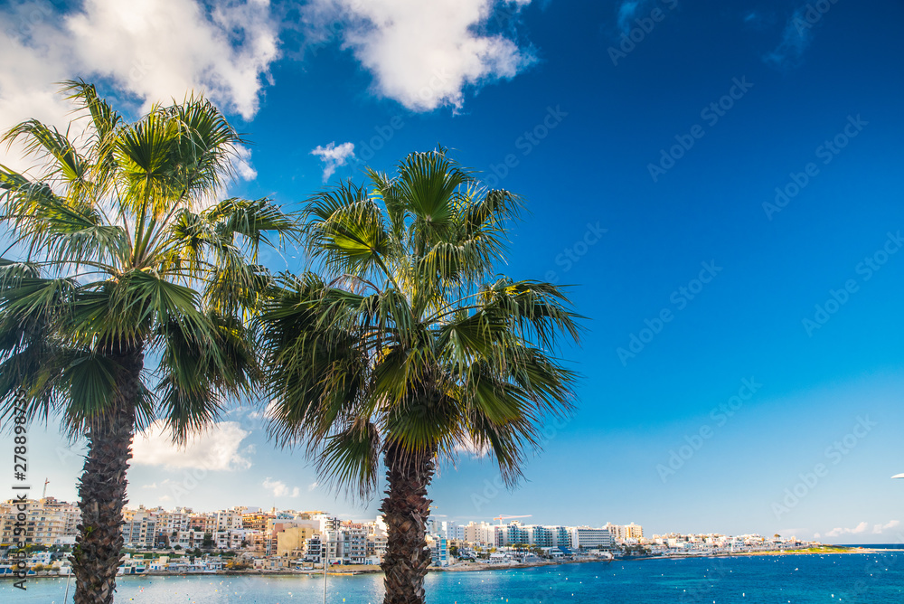 Palm trees in Beautiful blue Mediterranean beach and landscape. Holiday resort photo