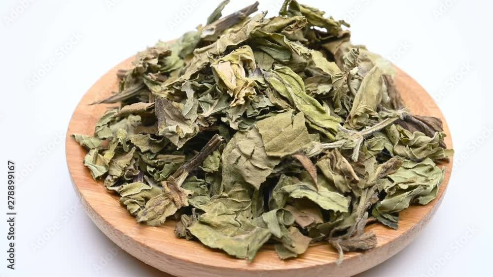 side view Chinese herb BoHe or Menthae Haplocalycis Herba or Wild Mint Herb side view Chinese herb BoHe or Menthae Haplocalycis Herba or Wild Mint Herb