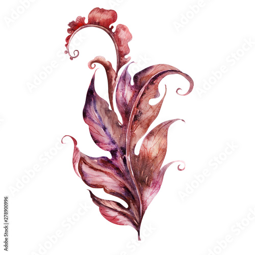 Watercolor background with  stylized acanthus plant
