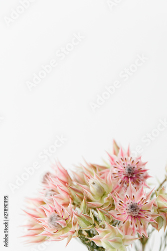 A detail of Kaaps groen blushing bride flower bouquet. photo