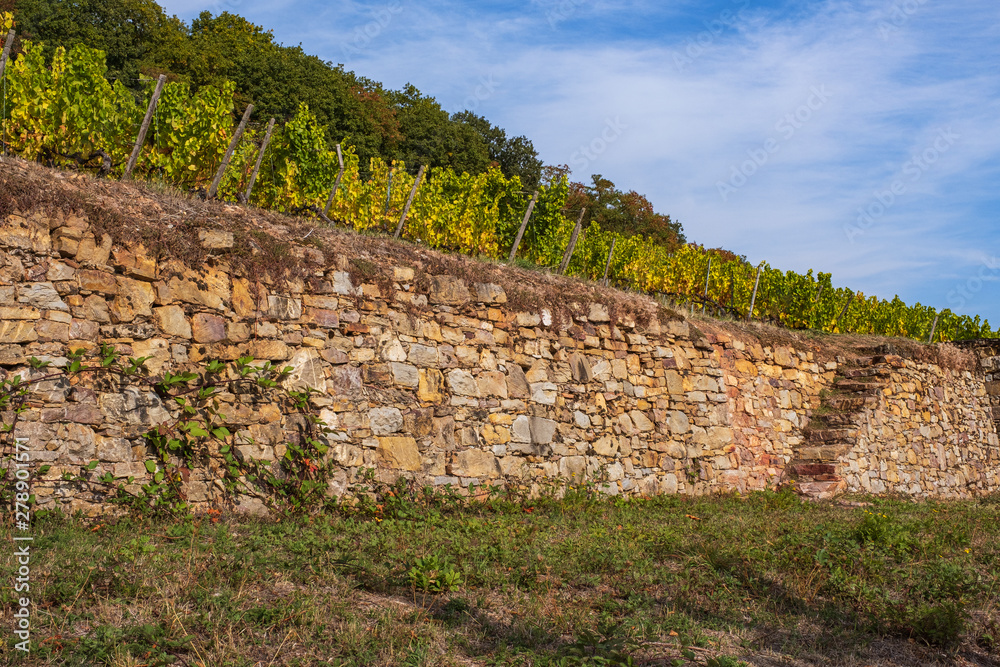Mauer in den Weinbergen im Rheingau