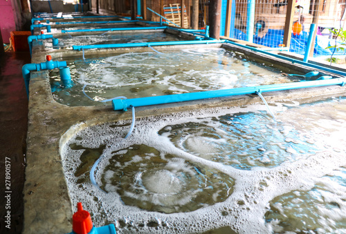 Photography Pond shrimp closed system, shrimp farm, prawn farming with with aerator pump oxy