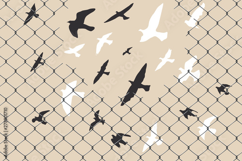 birds flying over broken barbed wire