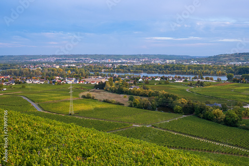 Blick ins Rheingau bei Oestrich-Winkel/Deutschland im Herbst