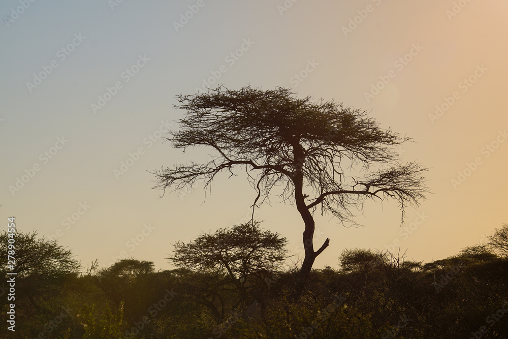 Namibia Afrika Landschaft