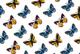 texture colored butterflies