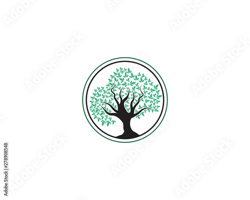 Green logo of tree ecology nature element vector