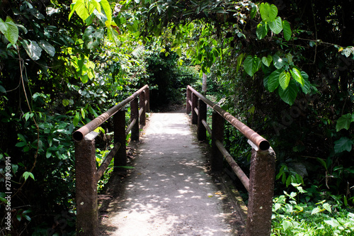 wooden bridge in the forest  Khao Yai