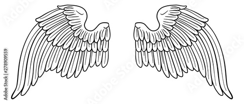 A pair of wings possibly belonging to an angel or eagle or other bird