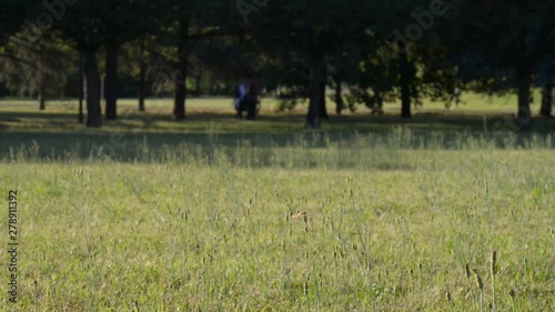 attivià fisiche nel parco in un bel pomeriggio estivo photo