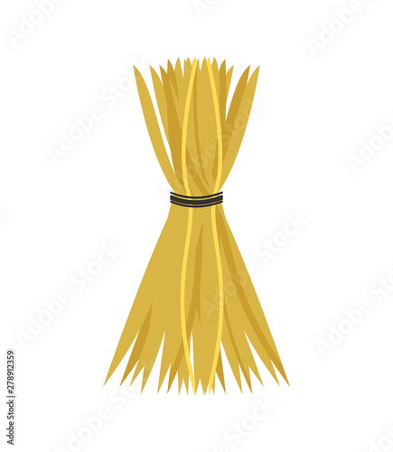 Hay vector, isolated bale tied with thread of black color, icon agriculture and husbandry, season of harvesting and gathering dried grass, countryside