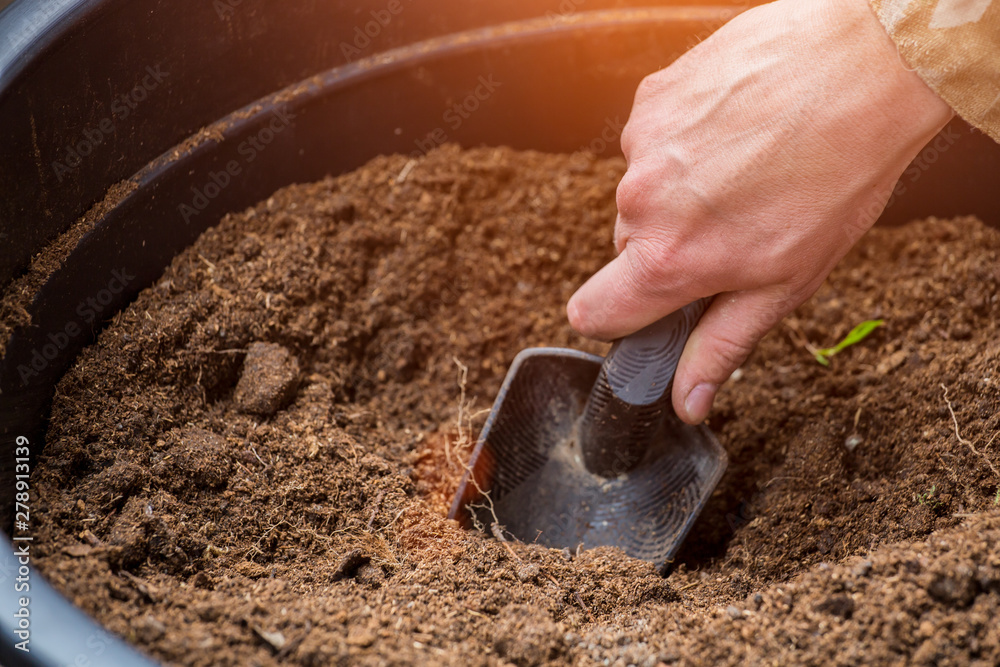 Gardeners hand planting flowers in pot with dirt or soil Gardeners hand planting flowers in pot with dirt or soil