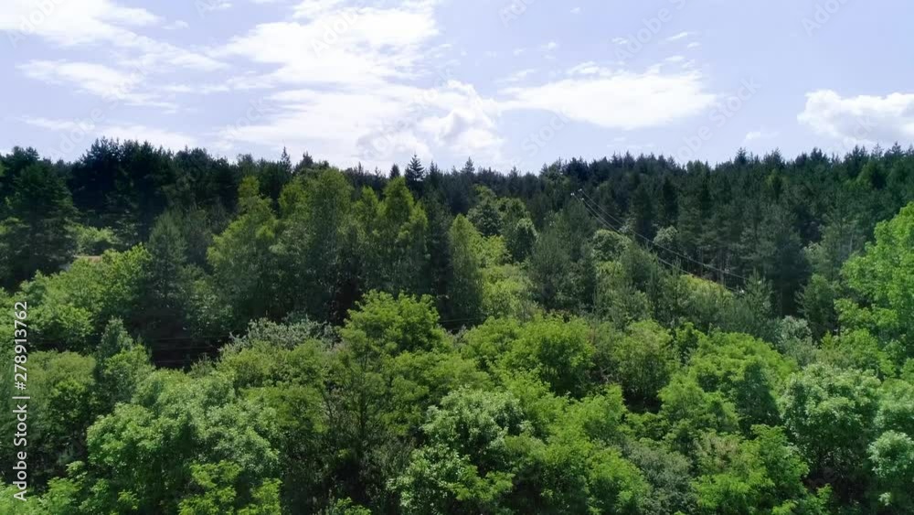 Forest and blue sky Forest and blue sky