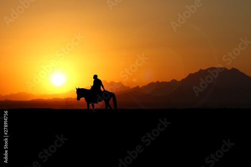 Cowboy reitet bei Sonnenuntergang auf seinem Pferd