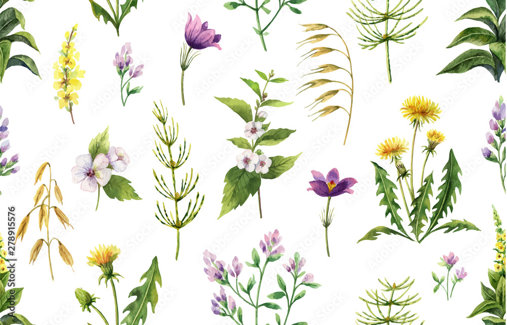 Watercolor vector seamless pattern with field plants and leaves isolated on white background.