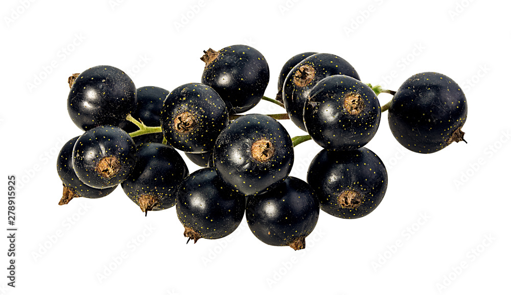 Fresh black-currants isolated on white background with clipping path Fresh black-currants isolated on white background with clipping path