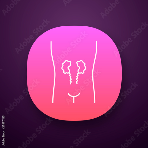 Ill kidneys app icon. Sore human organ. Unhealthy urinary system. Nephropathy. Sick internal body part. Kidney failure. UI/UX user interface. Web or mobile application. Vector isolated illustration
