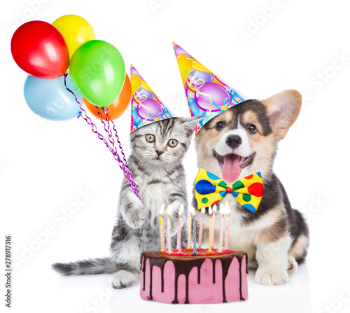 Funny puppy and kitten in party hats holds balloons with birthday cake with many burning candles. isolated on white background