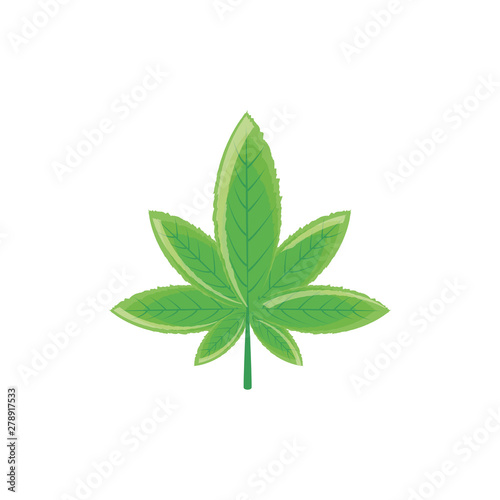 cannabis leaf plant nature icon