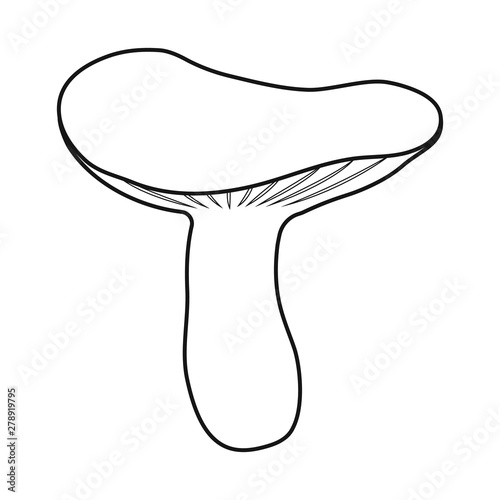 Vector illustration of mushroom and russula symbol. Set of mushroom and summer stock vector illustration.