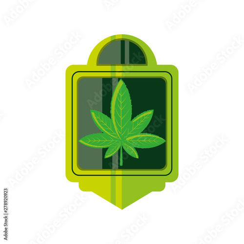 frame with cannabis leaf plant
