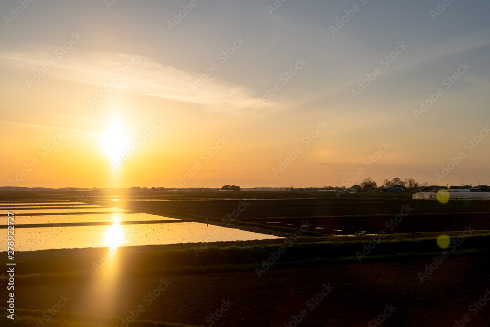 Scenic countryside sunset landscape with a reflection paddy farmland field. Aomori Prefecture rural landscape in Japan