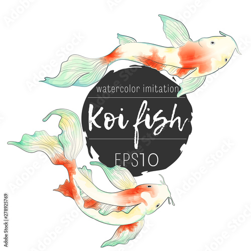 Japanese koi fish hand draw watercolor imitation illustration collection. Clip art of colorful carps in asian style.