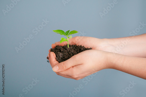 Closeup shot of a woman holding a green plant in palm of her hand. Close up