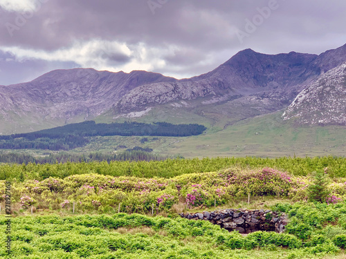The Landscapes of Ireland photo