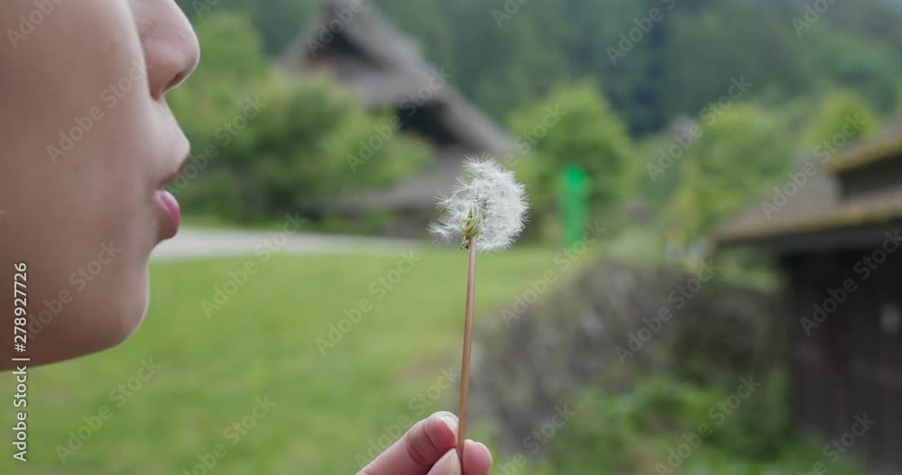 Woman blowing dandelion in the countryside