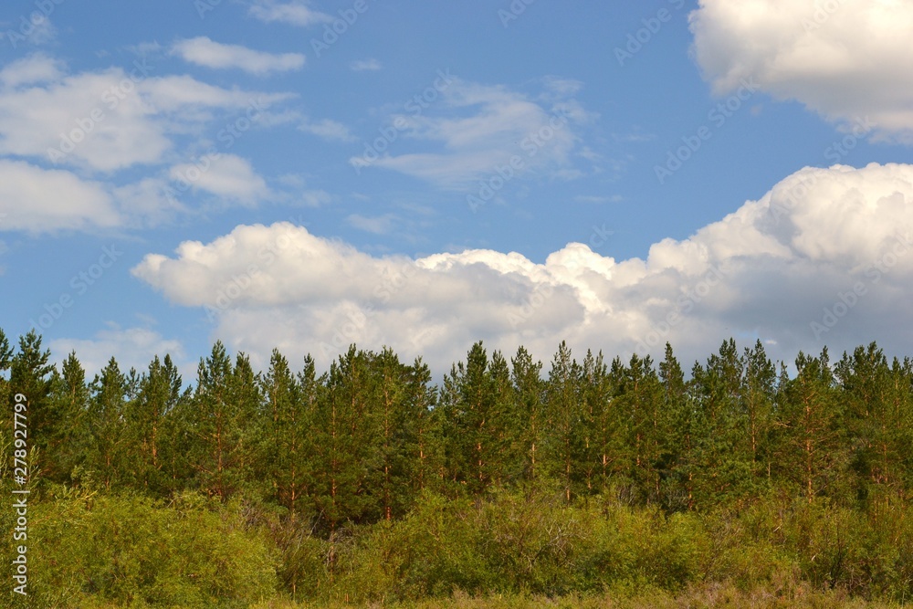 Siberia Altai krai forest road