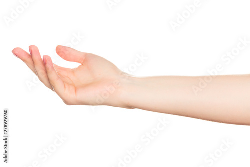 Female hand gesture isolated on white background © fotofabrika
