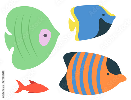 Sea or ocean fish species, isolated colorful aquarium habitats. Vector striped orange, blue and green anemones, swimming coldblood animals living in tank