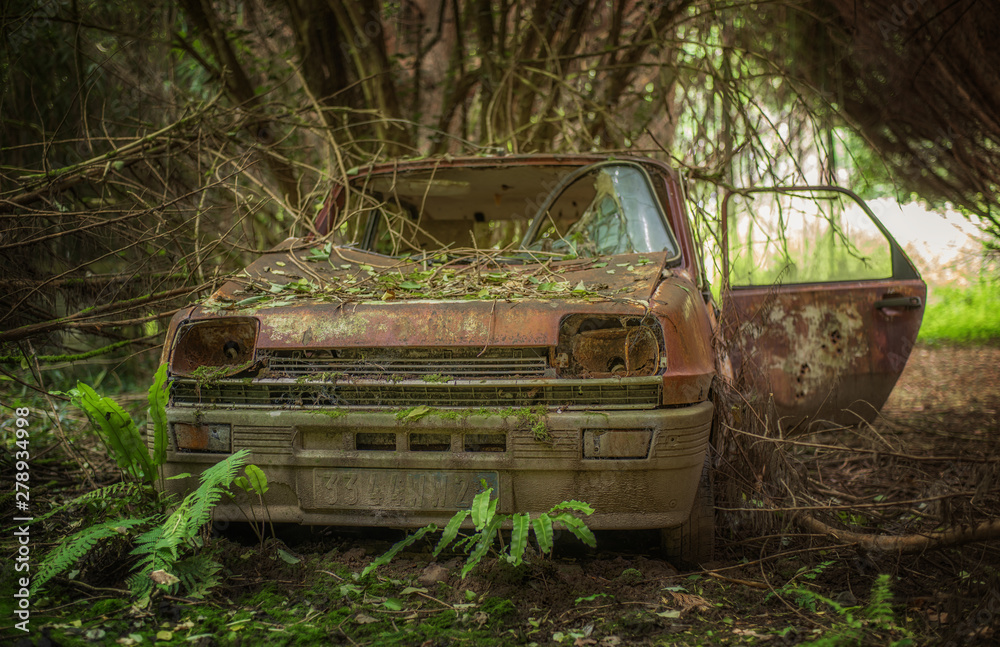 Lost place altes Auto im Wald mit Bewuchs frontal Lost place altes Auto im Wald mit Bewuchs frontal