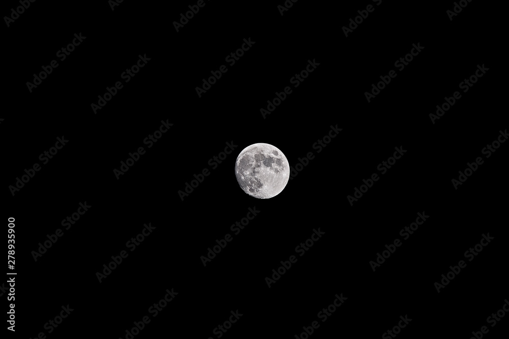 Moon Moon