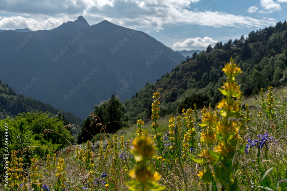 Landscape of the Parc Natural de la Vall de Sorteny, Pyrenees, Andorra.
