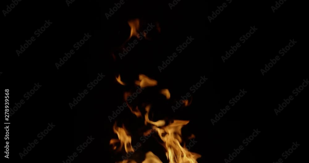 Burning fire in the night on a black background Burning fire in the night on a black background