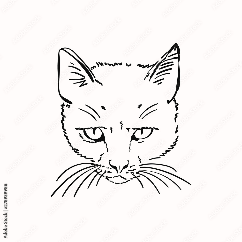 Sketch of scary angry cat head, Hand drawn vector linear illustration ...