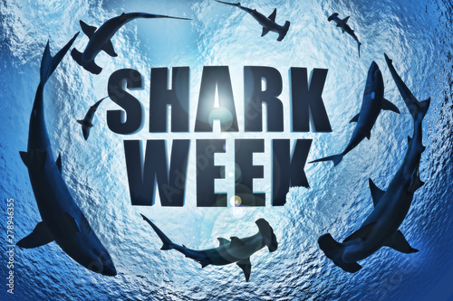 Photo School of sharks , great white and hammerhead's circling the text Shark week with a shark bite taken out of the k