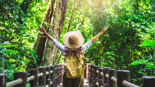Girl with backpack yellow traveling in a tropical forest. Rear view of the girl in the bush reflective green. Tourism hiking nature study.