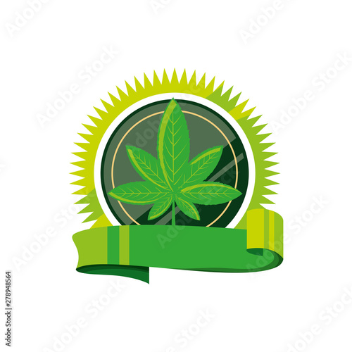 cicular lace with cannabis leaf plant